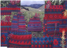 Indian Paintbrush
